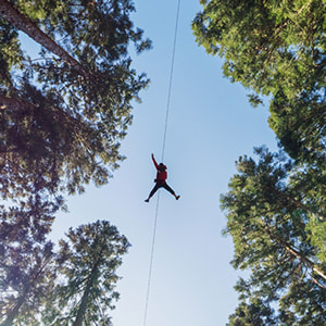 Man on a zip line flying through the forest canopy.