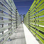 Vanishing perspective of tubular bioreactors filled with green algae that are used for carbon sequestration.