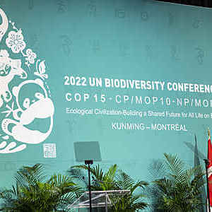 Conférence sur la biodiversité : un appel en faveur de l’action par le biais des normes